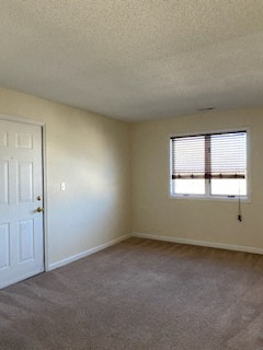 Gallery Photo 20